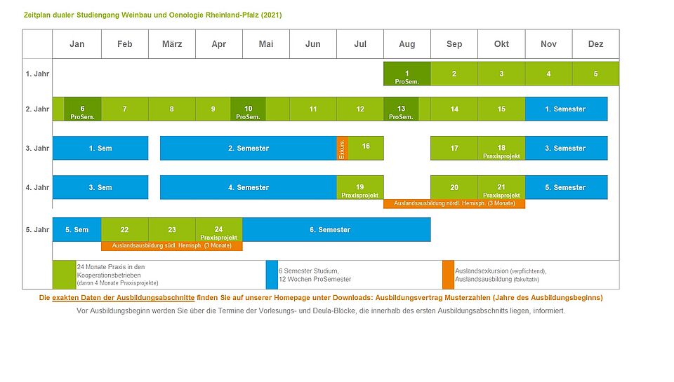 Timetable for studying viticulture & Oenology