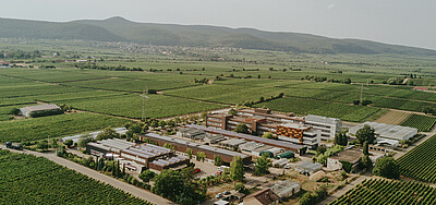 Aerial view of the site and buildings of the Wine Campus Neustadt and DLR