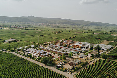 Aerial view of the grounds and buildings of the Weincampus Neustadt and DLR