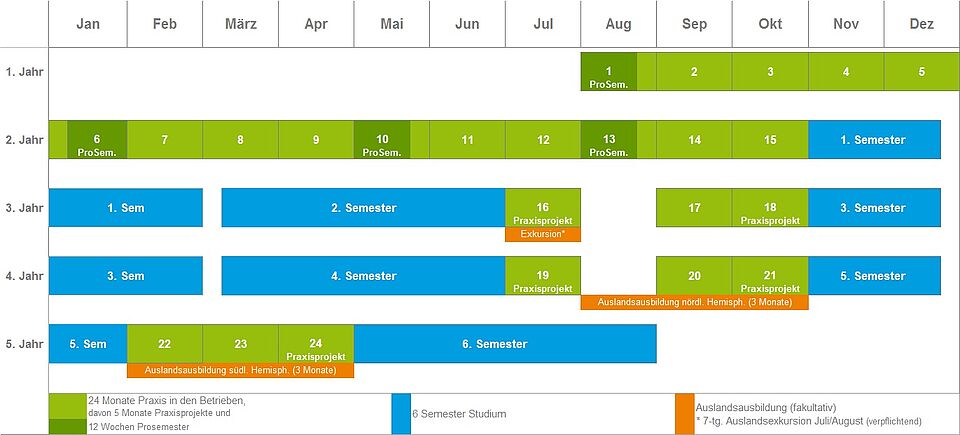 Schedule of the dual study programme at the Neustadt wine campus