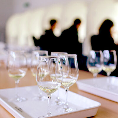 Weingläser auf einem Tablett im Sensorik- Raum