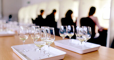 Verres à vin blanc sur un plateau dans une salle de dégustation