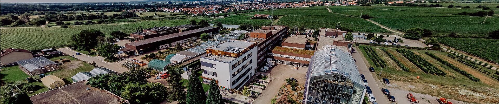 Wine Campus vue aérienne