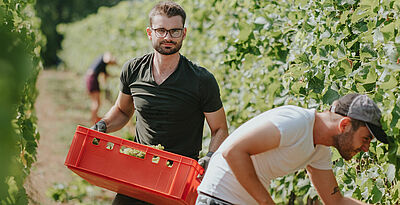 Student in the vineyard