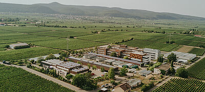 Einschreibung und Rückmeldung