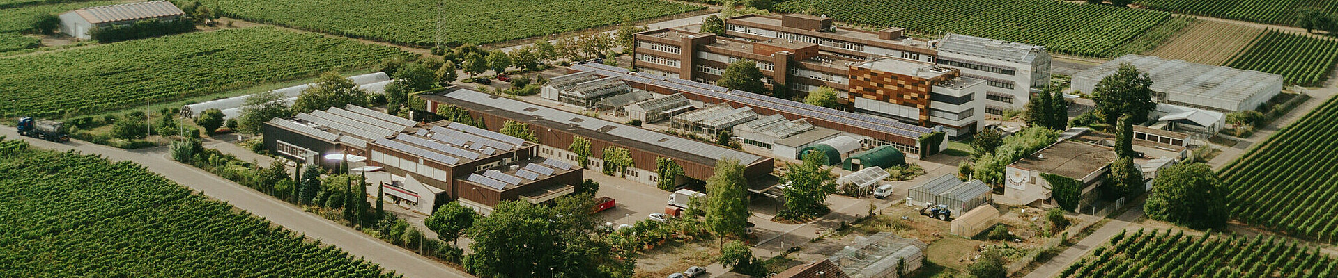 Wine Campus vu d'en haut