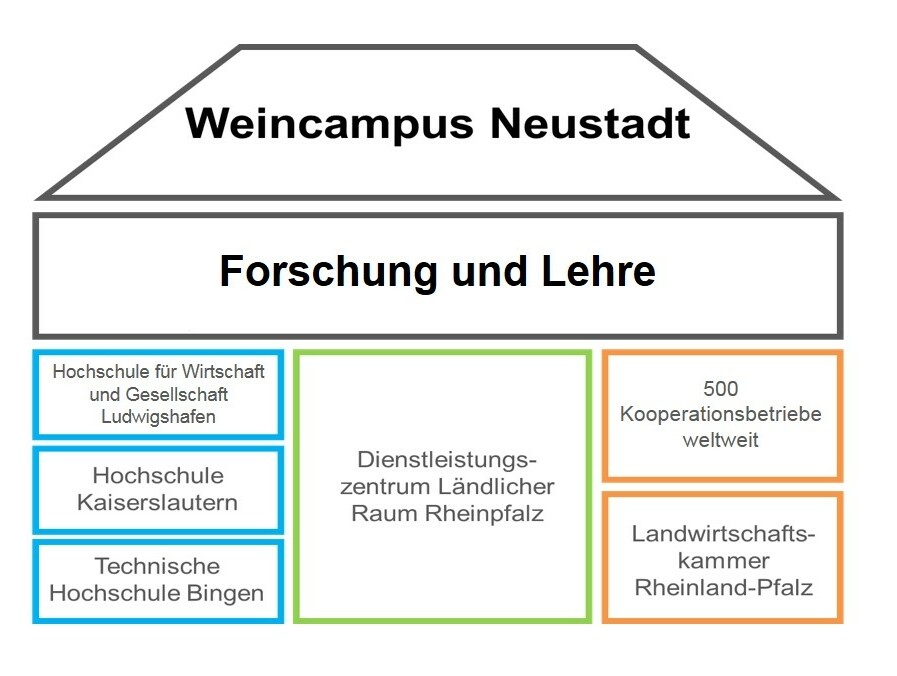 Grafik über die Zusammenfassung von Forschung und Lehre am Weincampus Neustadt