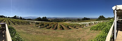 Blue sky over a hilly landscape with pastures of the Yarra valleys