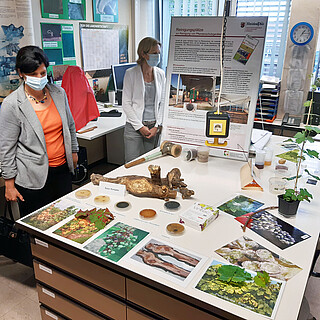 Visite de l'Institut de phytomédecine