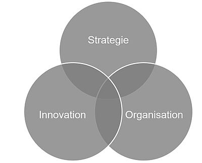 Pie chart with intersection of strategy, innovation and organization