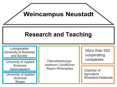 Graphic about the summary of research and teaching at the Weincampus Neustadt