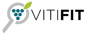 Logo "Viti- Fit"