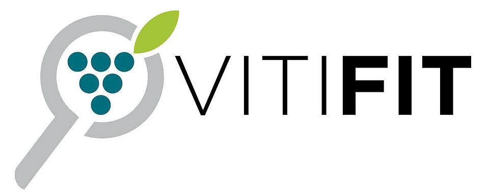 Logo "Viti Fit"