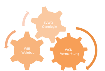 Schéma des partenaires de recherche