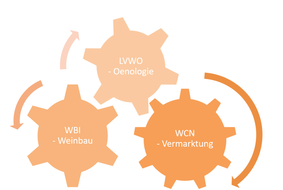 Schaubild der Forschungspartner