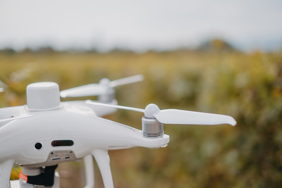 Un drone dans le vignoble