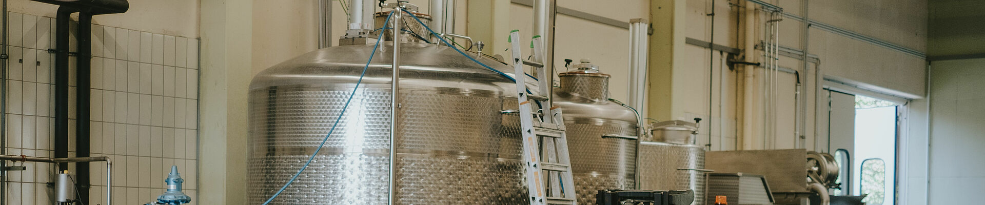 Wine barrels in the oenological pilot plant