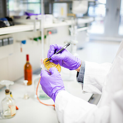 Lab technician in the lab