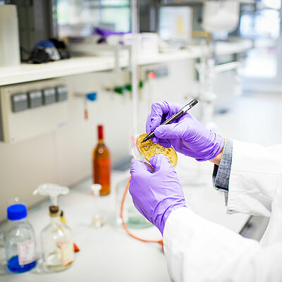 Laboratory at the Wine Campus Neustadt