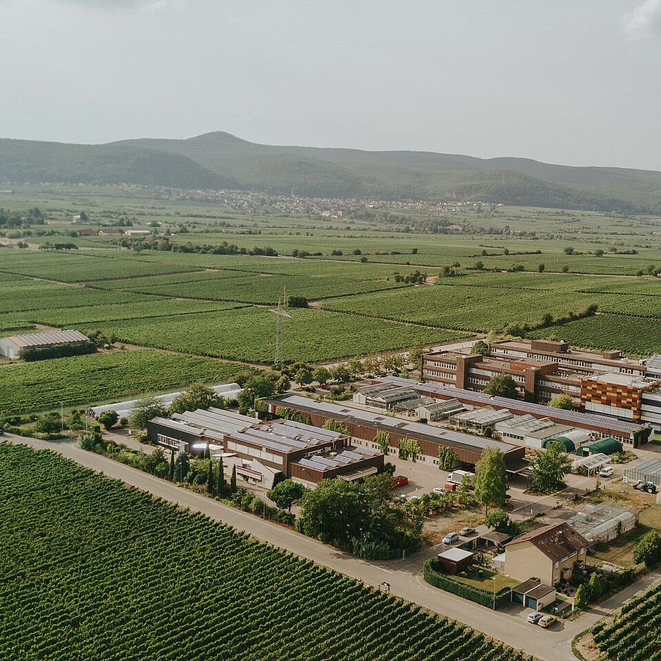 Vue aérienne du site du Wine Campus Neustadt et du Centre de services pour l'espace rural (DLR) Palatinat du Rhin