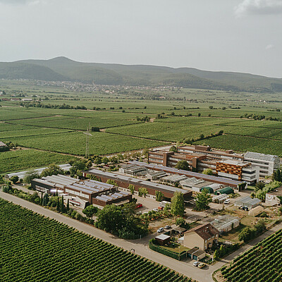 Luftaufnahme des Geländes vom Weincampus Neustadt und des DLR Rheinpfalz