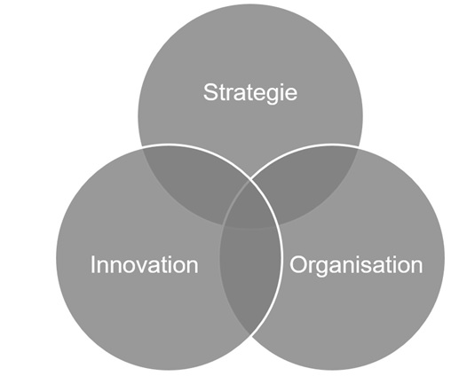 Kreisdiagramm mit Schnittmenge von Strategie, Innovation und Organisation