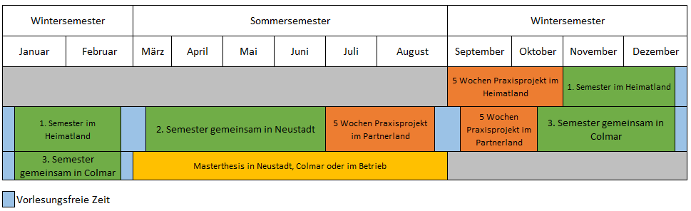 Studienverlauf im dualen deutsch-französischen Master Weinbau & Oenologie