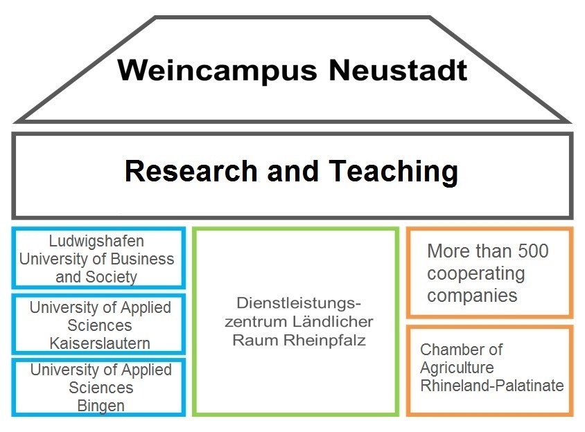 Graphic about the summary of research and teaching at the Weincampus Neustadt